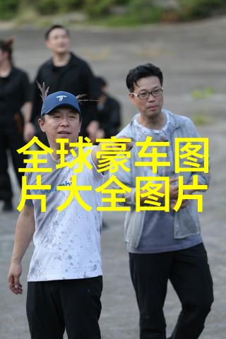 王宝强八角笼中引英影评好评演员双棱刃武艺高强文笔流利