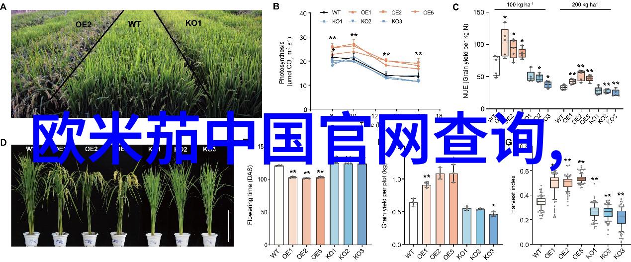 水贝珠宝招聘网我要找一份梦想工作你也来看看吧