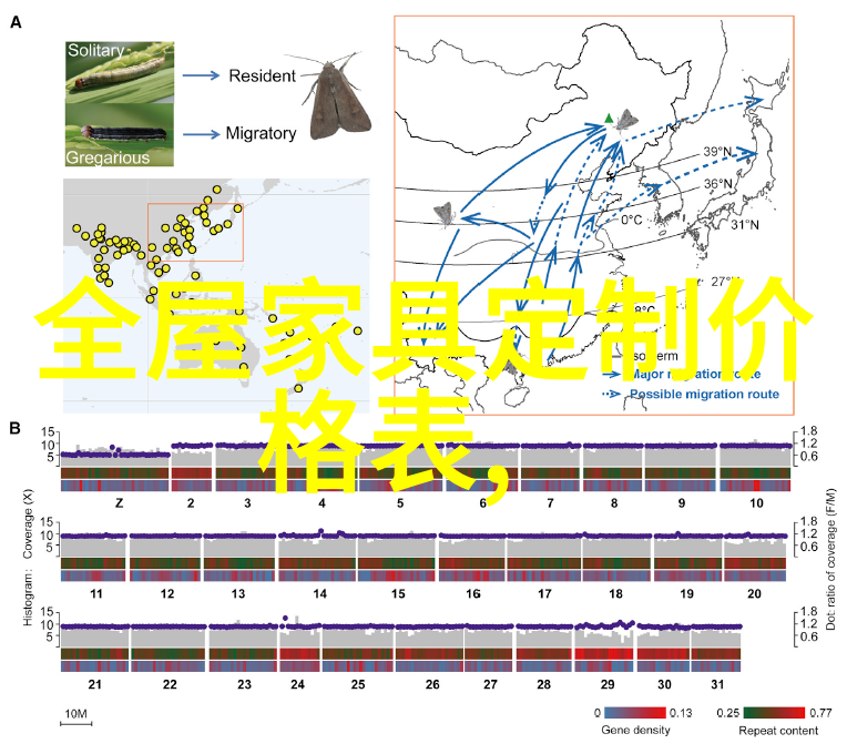 短发美学如何在小红书上打造最流行的发型照片