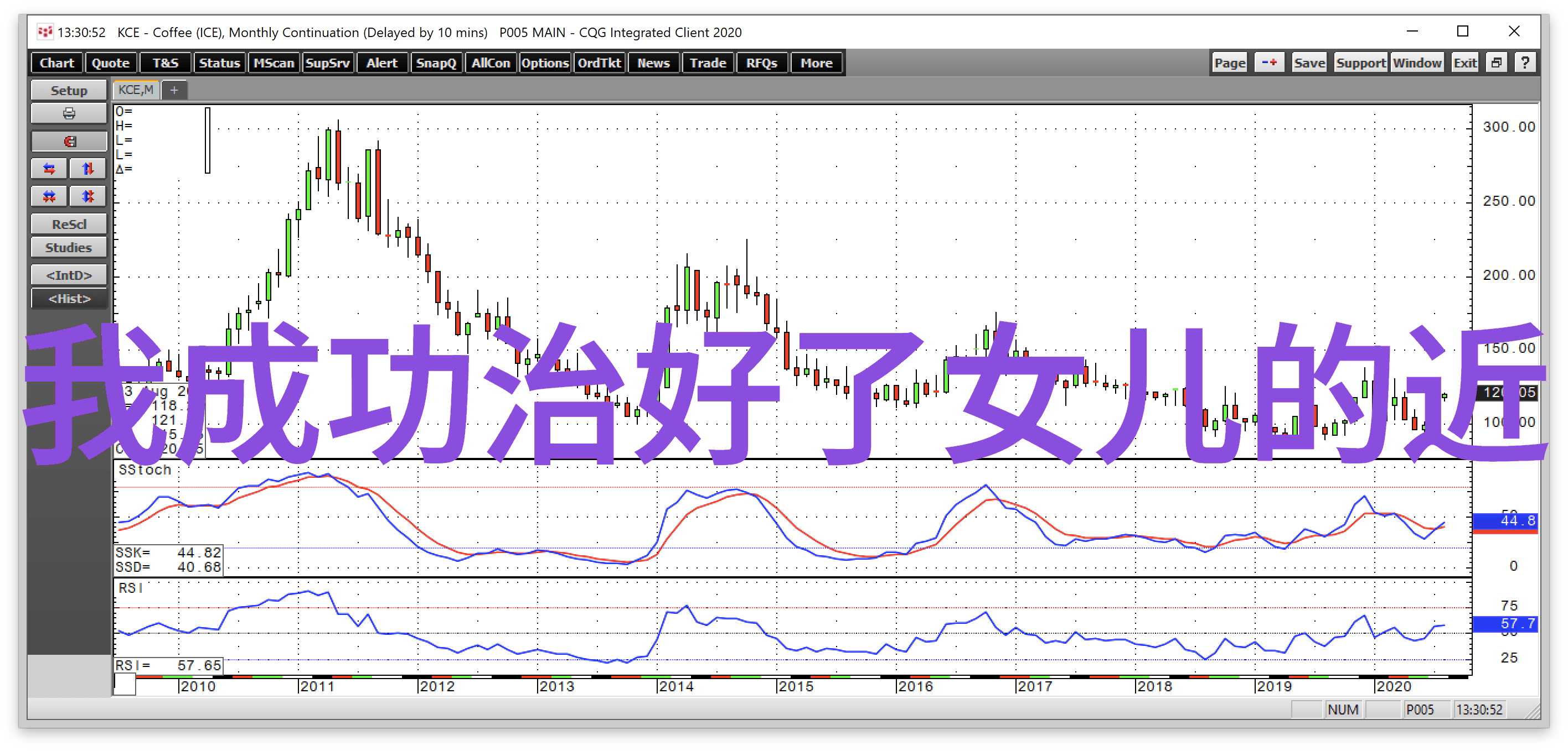 绽放的梦想小雏菊香水的诗意追寻