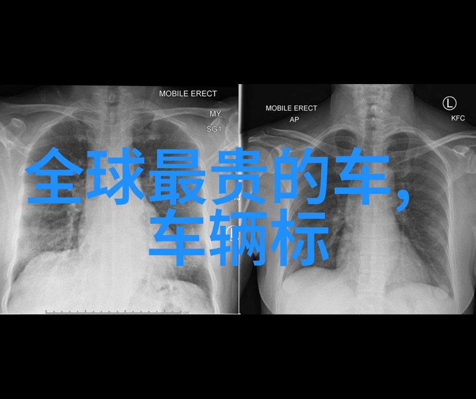 香水百合-绽放的香气香水百合的秘密与魅力