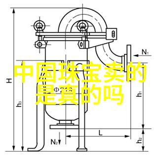 江南美人的网络征程追逐梦想的数字足迹