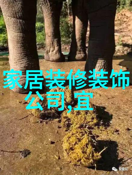 什么是现代简约装修的核心设计理念以及如何在实践中体现出来