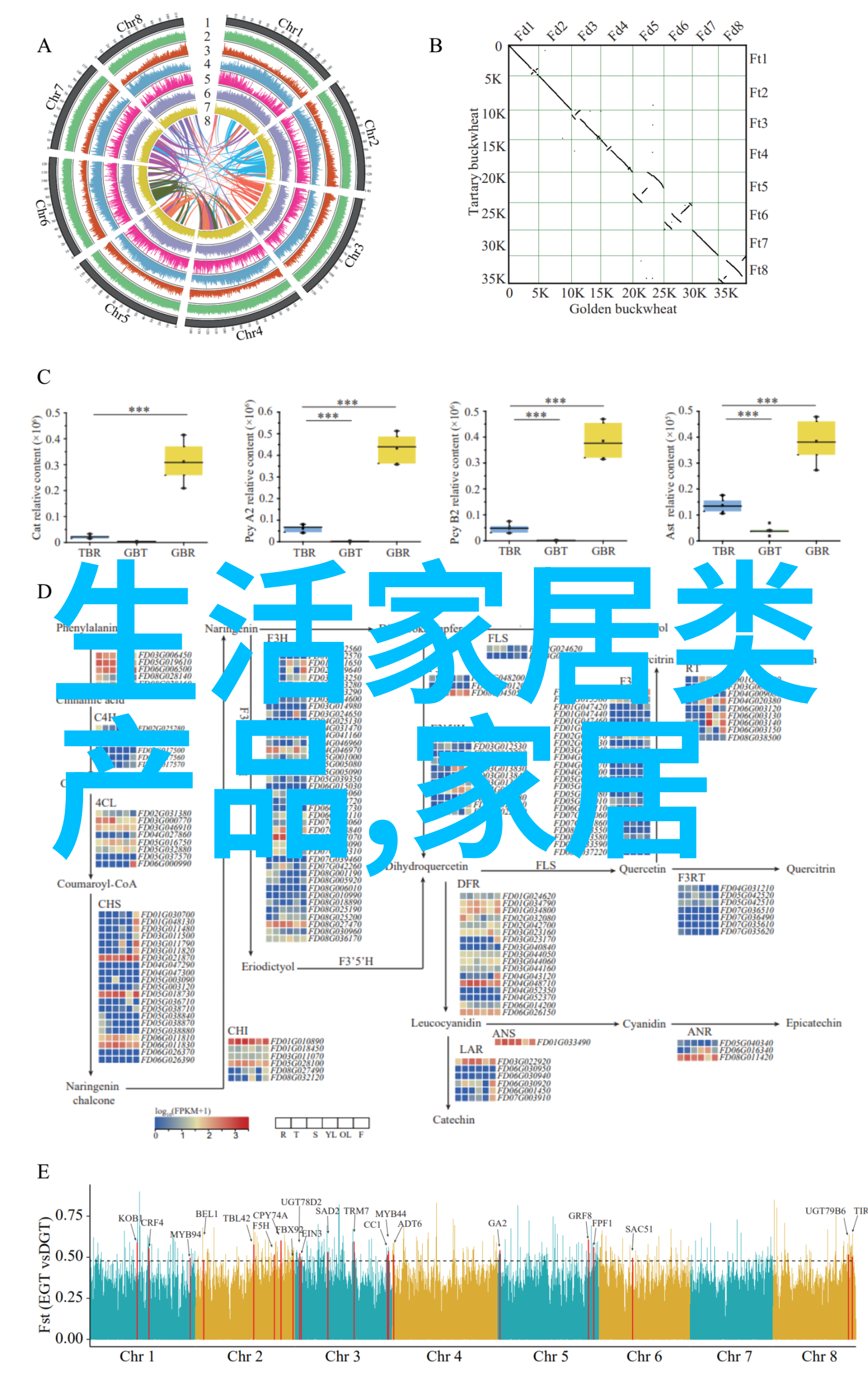 6月9号我今天就不工作了去海边放松一下吧