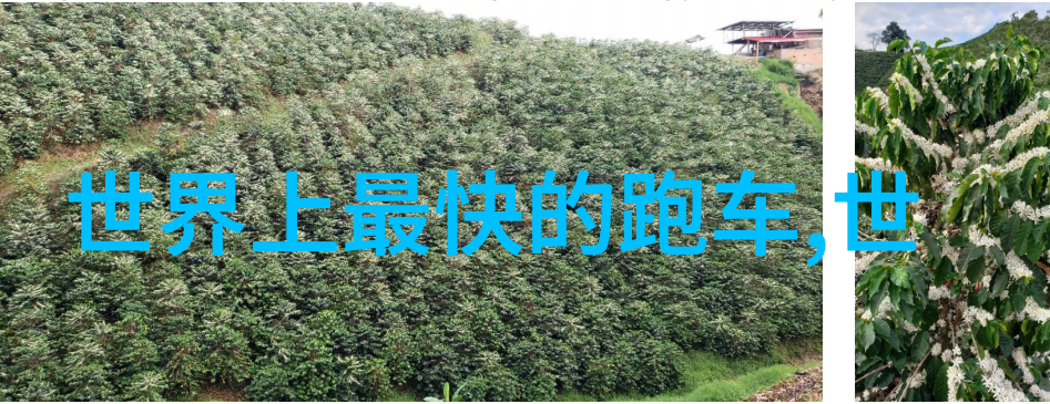 生活方式-全顺的生活如何在忙碌中保持工作与健康的和谐平衡