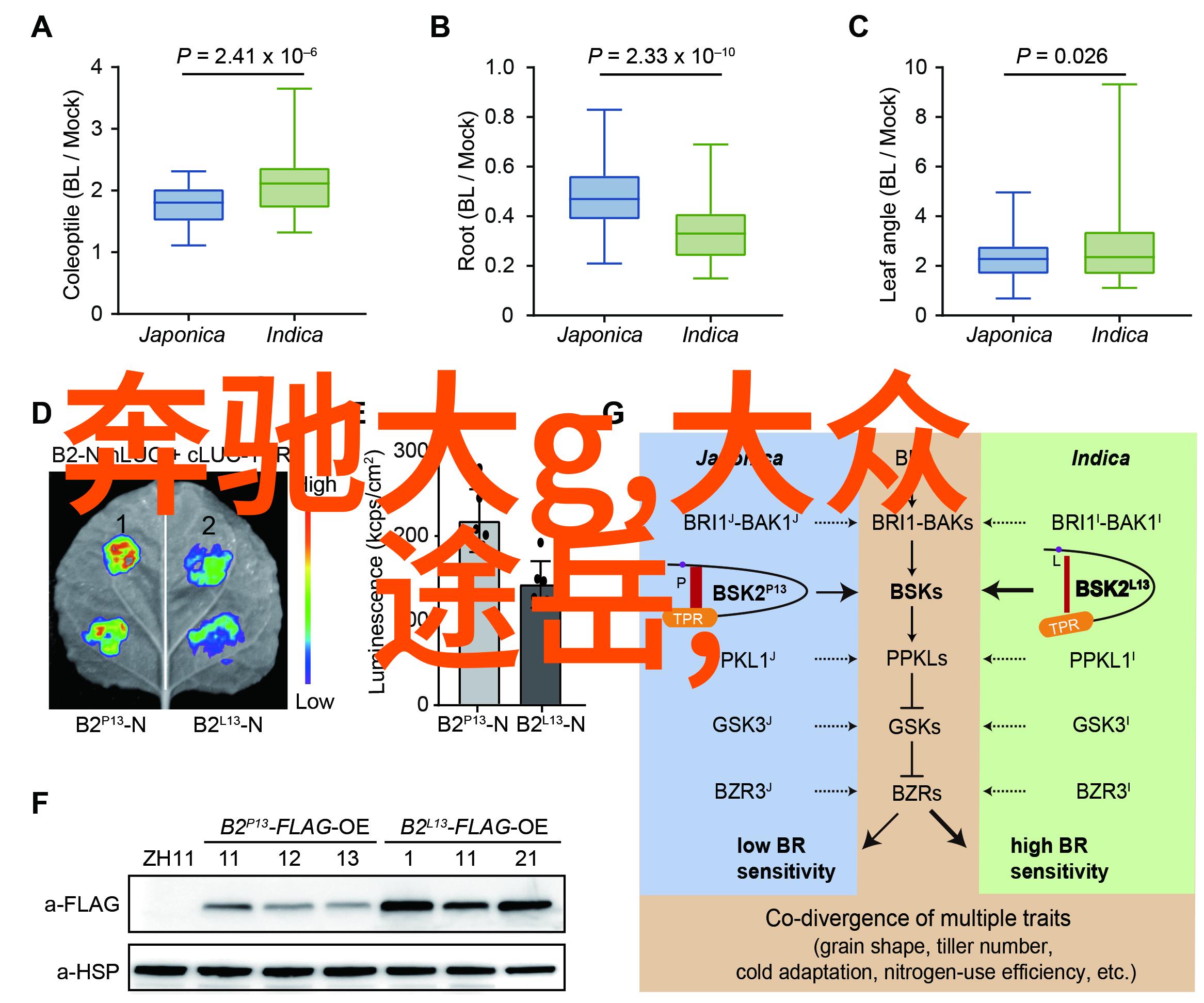 智能化家庭智能家具革新生活方式