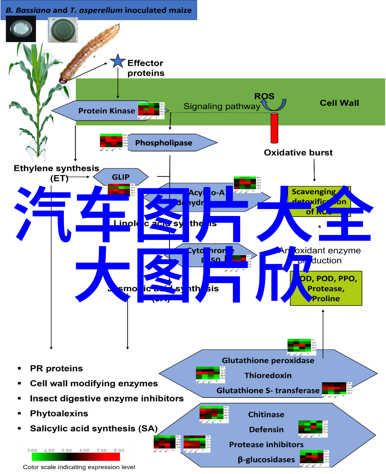 为何在2022年金价可能会在几个月内走低