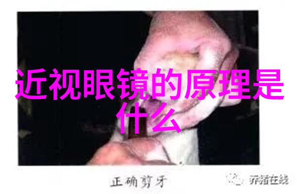 美学公式无删减全文阅读笔趣阁-探索艺术之美深度解读美学公式中的文学与艺术