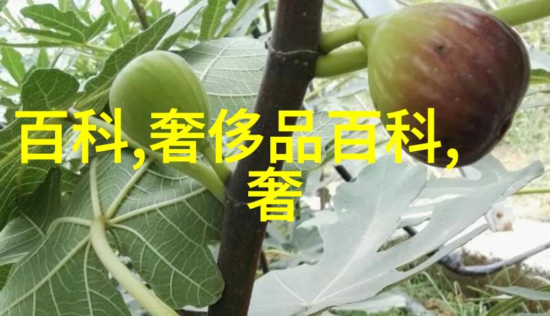 剃须技巧与男性美髮管理技巧分享会