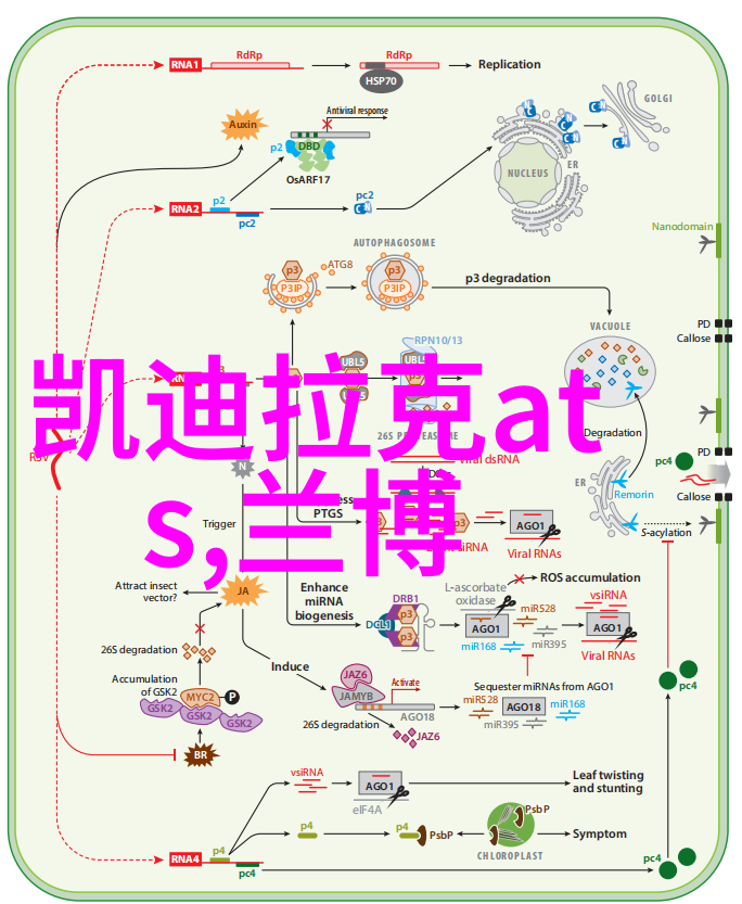 毒药香水迷局中的花朵