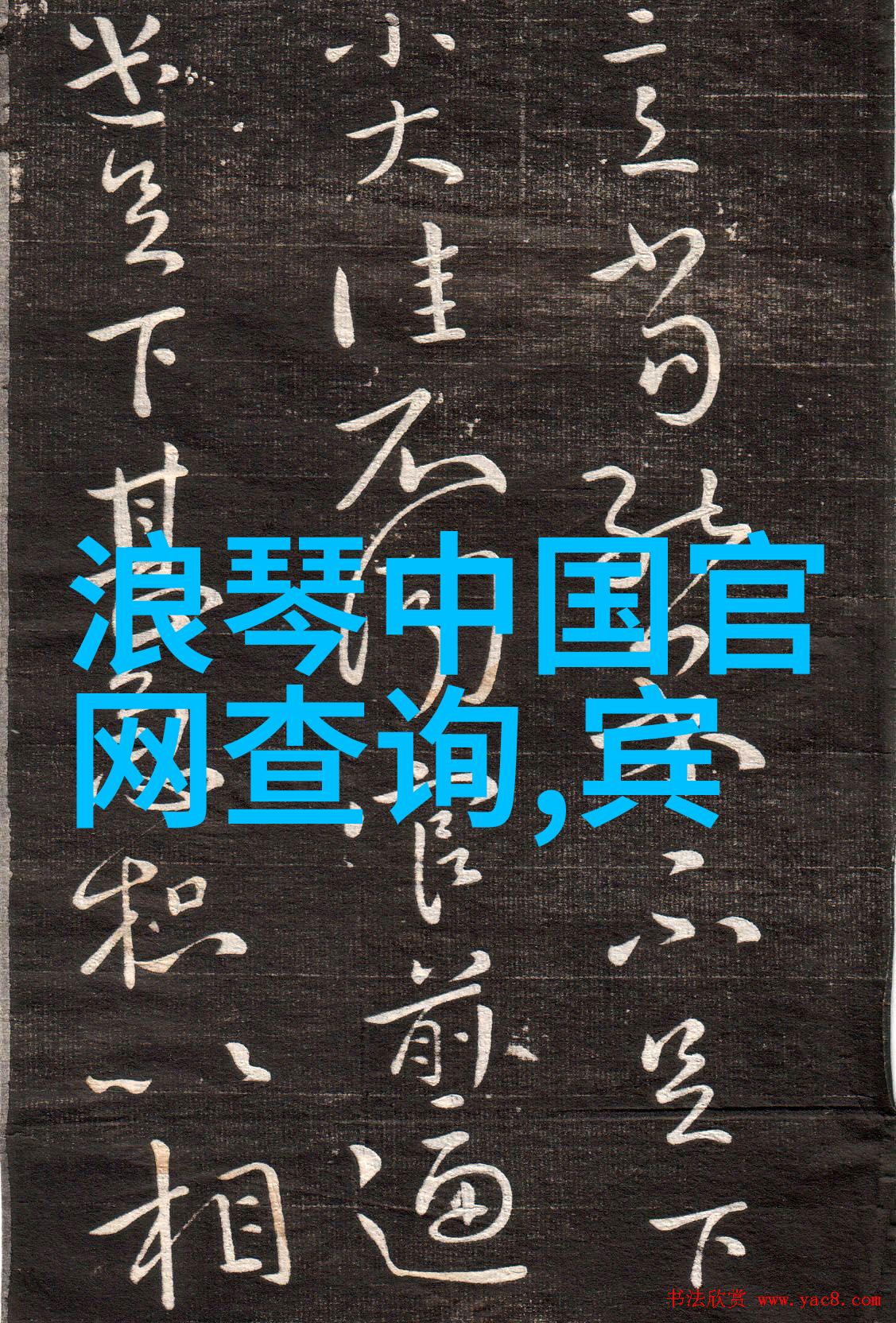 喜欢养花可以买花种几块钱买几十种便宜又实惠总有你喜欢的