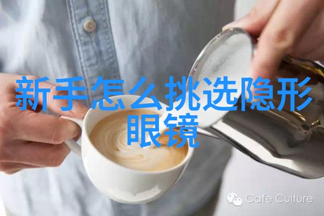 海鸥之翼追逐自由的无垠航程