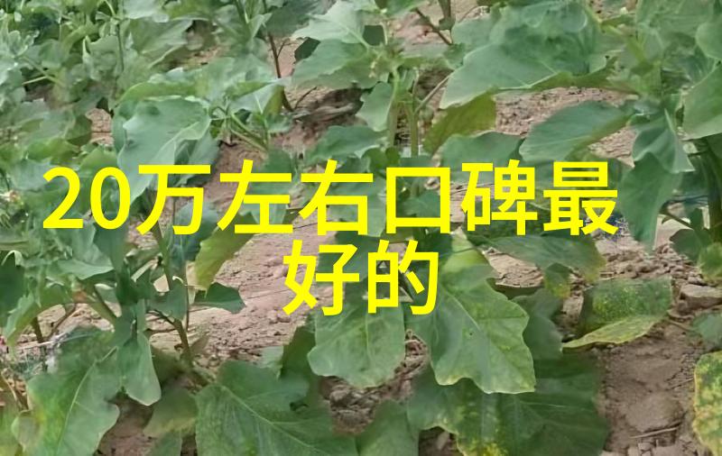 劳斯莱斯古董车豪华英国汽车的经典魅力